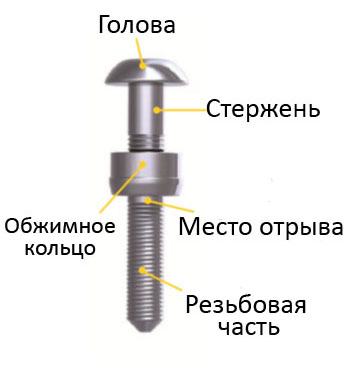 Схема устройства заклепки