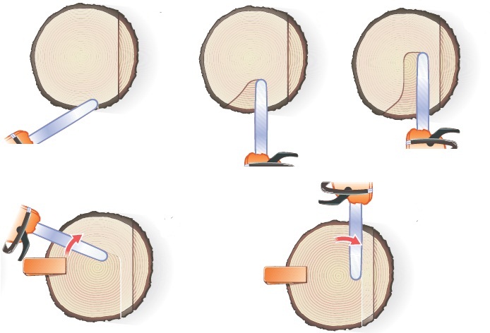 Направление работы пилой при валке дерева